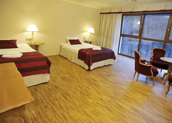 米尔 - 扬spa酒店 3*