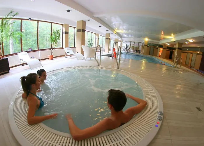 米尔 - 扬spa酒店